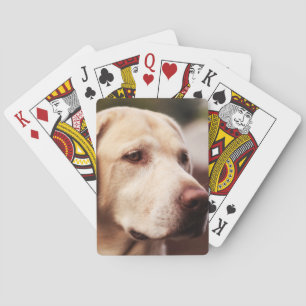 Labrador Retriever Spielkarten