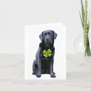 Labrador Retriever St.Patrick's Day Feiertagskarte