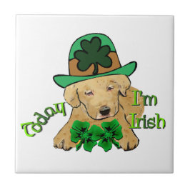 Labrador Retriever St Pattys Fliese
