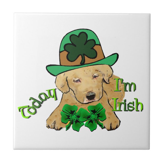 Labrador Retriever St Pattys Fliese (Vorderseite)