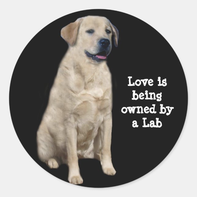 Labrador Retriever Sticker (Vorderseite)