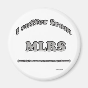 Labrador Retriever Syndrom - Magnet