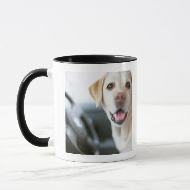 Labrador retriever tasse (Links)