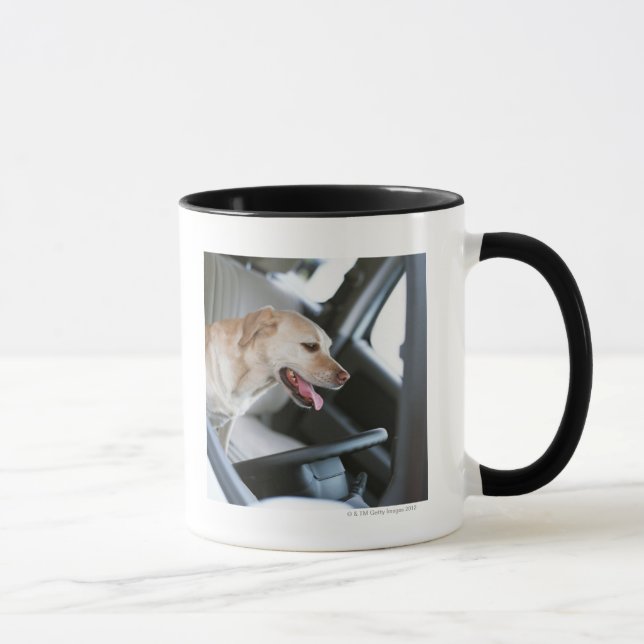 Labrador retriever tasse (Rechts)