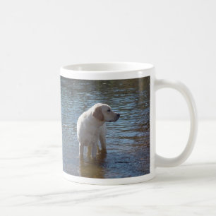 Labrador-Retriever-Tasse in dem See Tasse