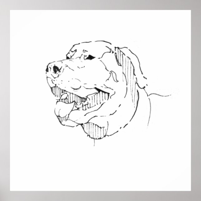 Labrador Retriever Tinten-Wandkunst Poster (Vorne)