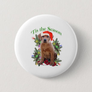 Labrador Retriever "Tis Button