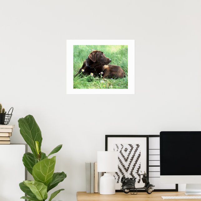 Labrador Retriever und Purple Flowers Poster (Heimbüro)
