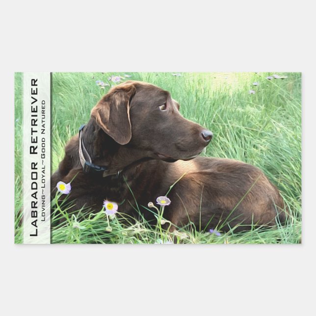Labrador Retriever und Purple Flowers Rechteckiger Aufkleber (Vorderseite)
