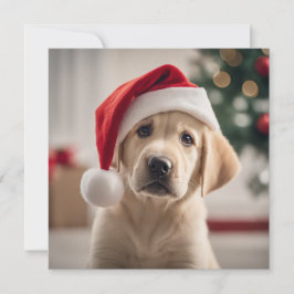 Labrador Retriever Weihnachten