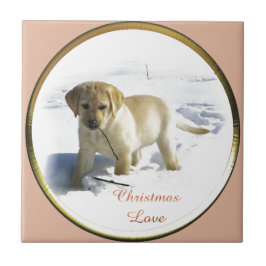 Labrador Retriever Weihnachten Fliese