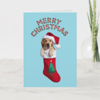 Labrador Retriever Weihnachts-Strumpf