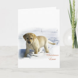 Labrador Retriever Weihnachtsgeschenke Feiertagskarte