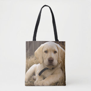 Labrador Retriever Welpe