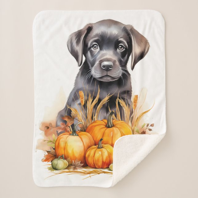 Labrador Retriever Welpe Autumn Pumpkins Dog Lover Sherpadecke (Vorderseite)