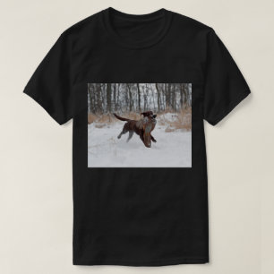 Labrador retriever-Welpe, der einen Fasan T-Shirt