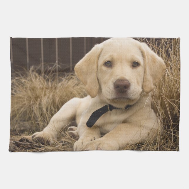 Labrador Retriever Welpe Geschirrtuch (Horizontal)