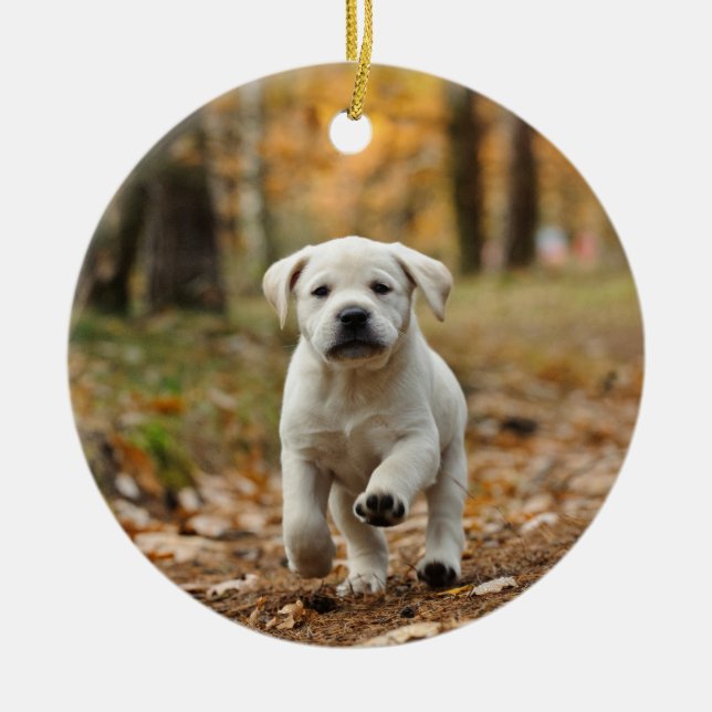 Labrador Retriever Welpe Keramik Ornament (Vorne)