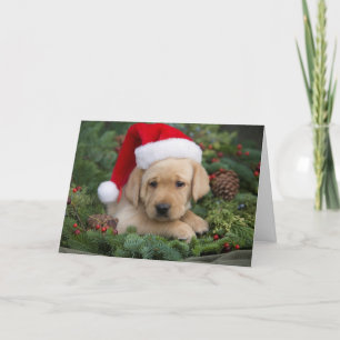 Labrador Retriever Welpe mit Weihnachtsmannmütze Feiertagskarte