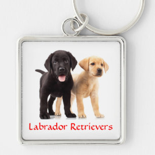 Labrador Retriever Welpen Premium Schlüsselkette Schlüsselanhänger