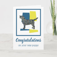 Labrador Retriever Welppy Gratulationen Gruß