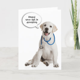 Labrador Retriever wird bald gut Karte