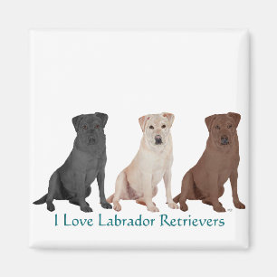 Labrador Retrievers - 3 Farben zur Liebe Magnet