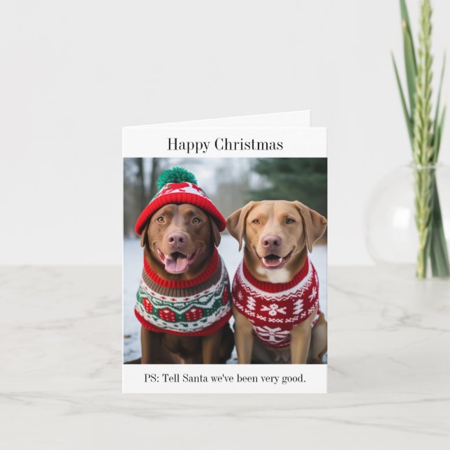Labrador Retrievers in Christmas Jumpers Card Karte (Vorderseite)