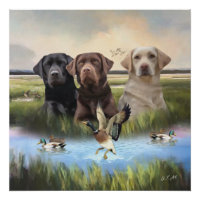 Labrador Retrievers (Jagdhunde)