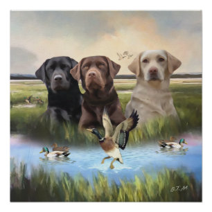 Labrador Retrievers (Jagdhunde) Poster