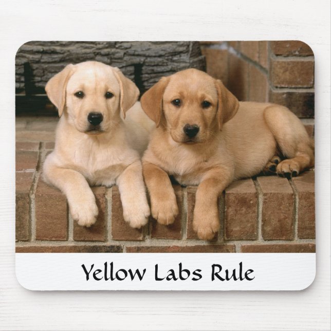 Labrador Retrievers Regel Welpen Mousepad (Vorne)