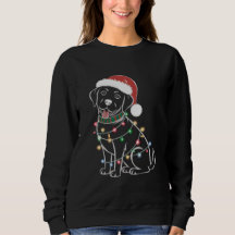 Labrador Retrievers Weihnachten