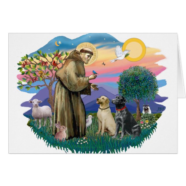 Labrador Retrievers (zwei) (Vorderseite (Horizontal))