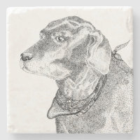 Labrador-Retrieverstein-Untersetzer
