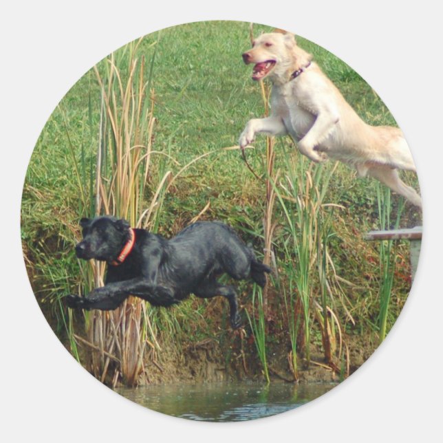 Labrador Runder Aufkleber (Vorderseite)