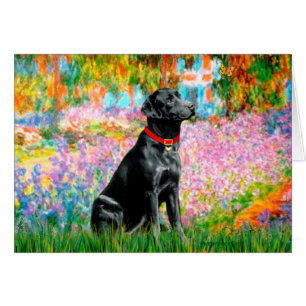 Labrador (schwarz) - Garten
