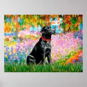 Labrador (schwarz) - Garten Poster