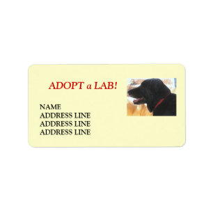 Labrador Shelter Hund Adoption - Western Rücksende Adressaufkleber