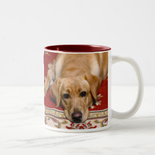 Labrador-Tasse Zweifarbige Tasse