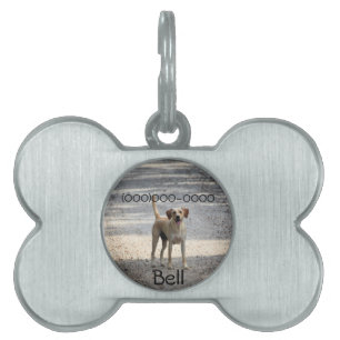 Labrador Tiermarke