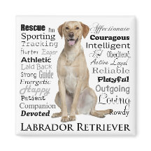 Labrador Traits Magnet