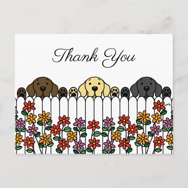 Labrador Trio, der Ihnen auf der Postkarte zusieht (Vorderseite)