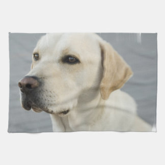 Labrador-Tuch Geschirrtuch