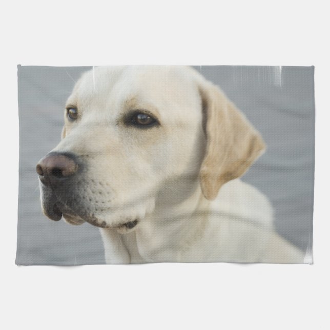 Labrador-Tuch Geschirrtuch (Horizontal)
