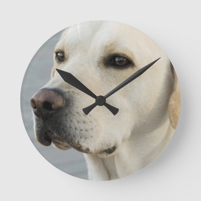Labrador-Uhr Runde Wanduhr (Vorderseite)