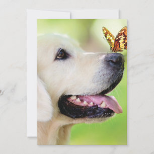Labrador und Schmetterlingswirbel Kissen Feiertagskarte