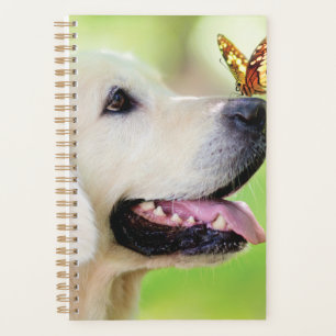 Labrador und Schmetterlingswirbel Kissen Planer