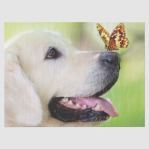 Labrador und Schmetterlingswirbel Kissen Seidenpapier