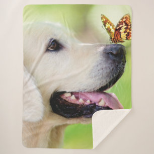 Labrador und Schmetterlingswirbel Kissen Sherpadecke
