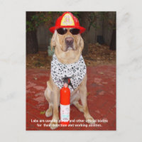 Labrador - Verwendung durch Polizei und Feuerwehr